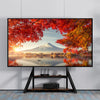 Heavy Duty TV Floor Stand Stablest