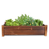 Soil Raised Box For Flowers Herbs Vegetables