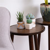 Wood Stool End Side Table